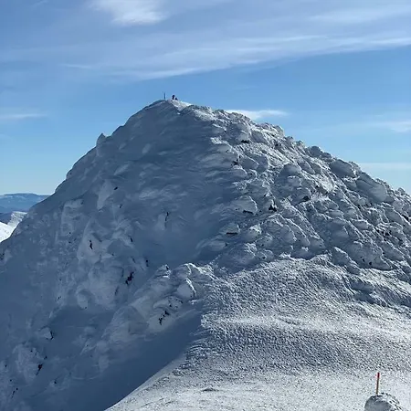 Apartament Sophie De Luxe *